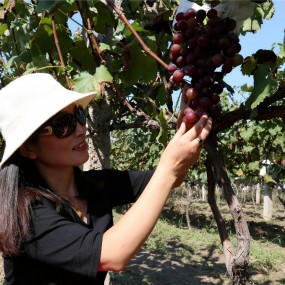 收获。开心。幸福