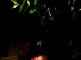 一组创意人像--夜魔