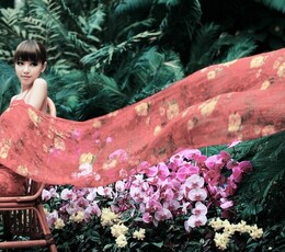 温室内的人与植物