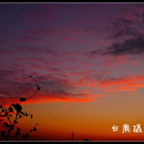 彩霞
