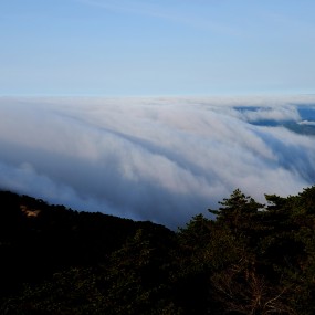 黄山小景