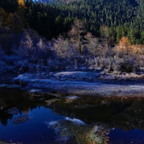 《晨曦中的小溪》