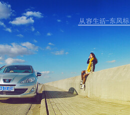 从容生活 东风标志408
