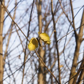 深秋。（最后一张是神码情况？）
