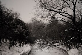 兴庆的雪