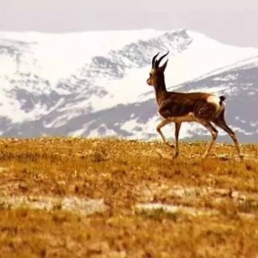 中国最美四大无人区，你敢去吗？