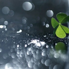 这样清楚的看植物