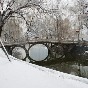 赏雪随拍2