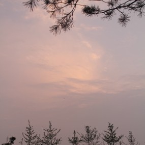 浐灞的黄昏随拍！