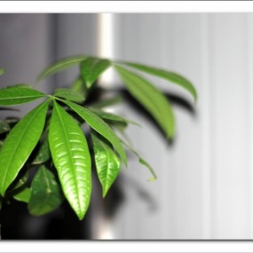 未分类杂拍小片几张