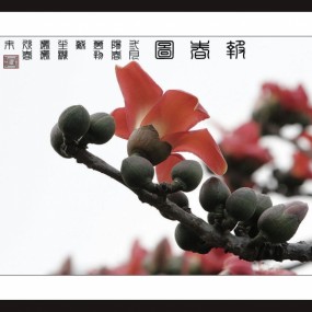 报春图