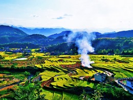 田园风光