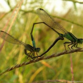 亲爱的，我会永远陪着你_航海王基德