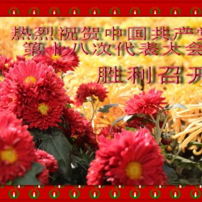 热烈祝贺