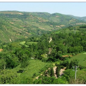 走近洩湖镇簸箕掌