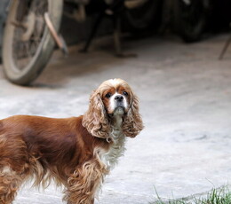 1119,南门城墙外拍留影（500D.135L.2035L）