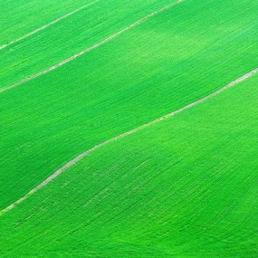 2013新疆6月行_江布拉克