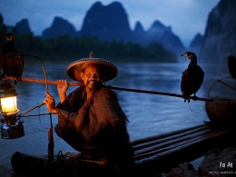 印象桂林（鱼鹰）