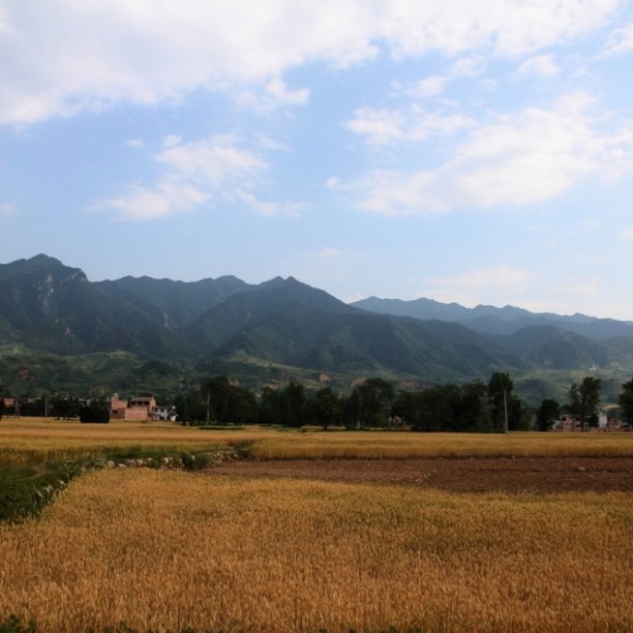 王顺山之行