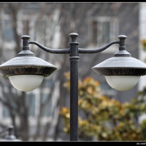 佳能300mm4.0试镜