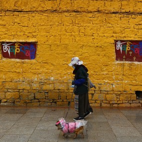 北京现代新胜达 新途胜大美青藏线试驾游------作业帖