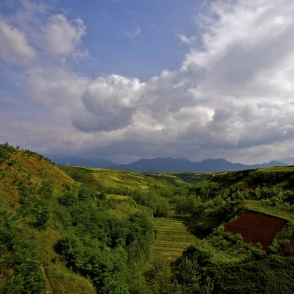 秦岭原野风光（四）