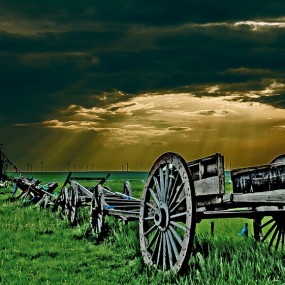 美丽的呼伦贝尔草原