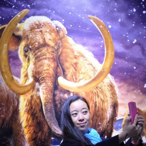 当心，大象要踢你