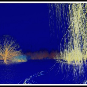 換种形式看风景一一灞河湿地公园