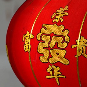 《红》与《福》   一组长焦微距