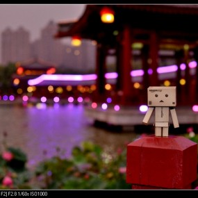 夜景萌物