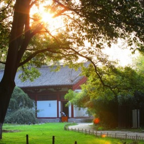 2012-9-5兴庆公园