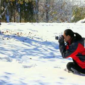 冬雪即景
