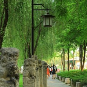 12.5.19  西安曲江南湖  拍摄晚霞