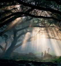 拍摄唯美丁达尔现象