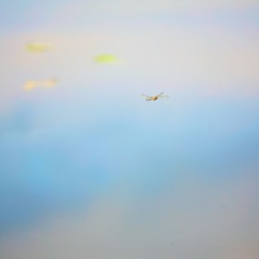 Kari Liimatainen 精彩风光摄影作品（二）