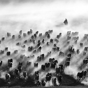 千军万马在坝上