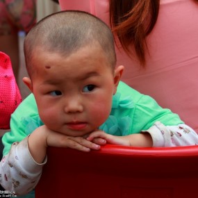 赧颜无措恋镜头【世园参赛作品】