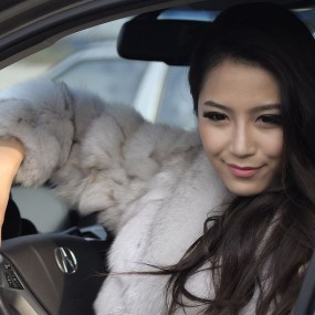 ACURA  诱惑女神