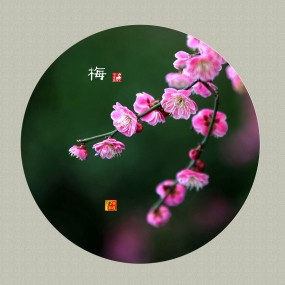 春梅