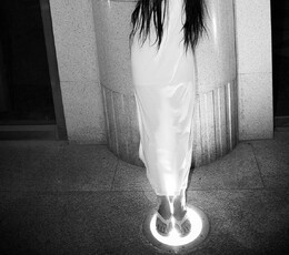 猫猫的世界（1）