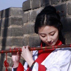 城墙上的汉服妹妹