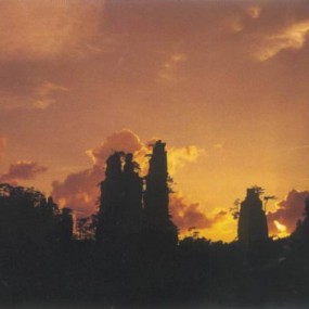 阿凡达的取景地