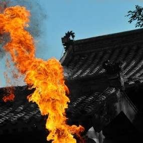 新兵蛋子献拙真能喷