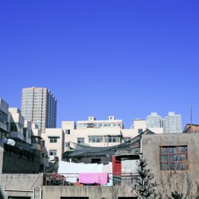 2012.12.31 兴庆公园
