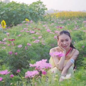 楼观台向日葵活动-积极参加活动积极交作业