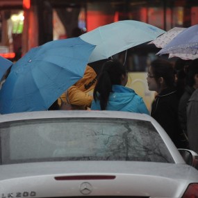 人匆匆，雨朦朦