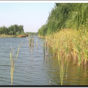 10月5号在中卫拍秋叶