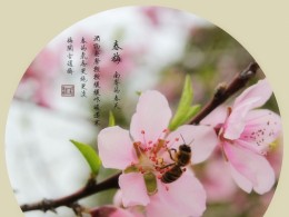 春梅，春桃