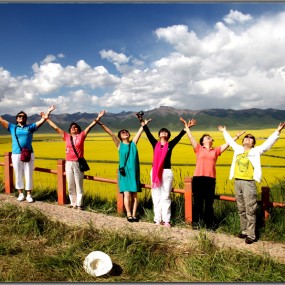 门源油菜花风光